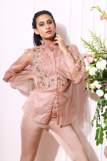 Almond Organza Shirt Set With Pants